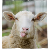 Schafzunge Duschvorhang (Vorderseite)