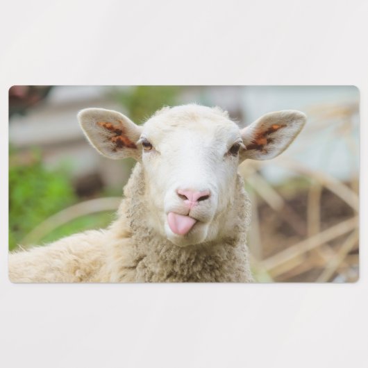 Schafzunge Etiketten (Design 2)