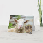 Schafzunge Feiertagskarte (Rückseite)