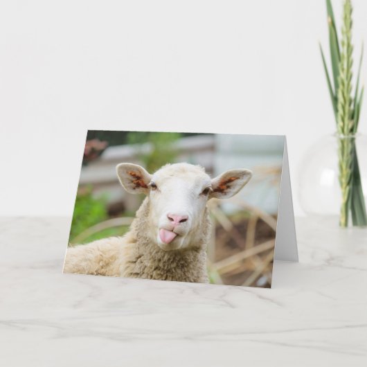Schafzunge Feiertagskarte (Vorderseite)