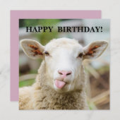 Schafzunge Feiertagskarte (Vorne/Hinten)