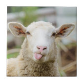 Schafzunge Fliese (Vorderseite)