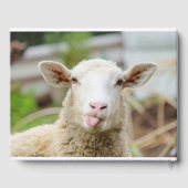 Schafzunge Gästebuch (Rückseite)