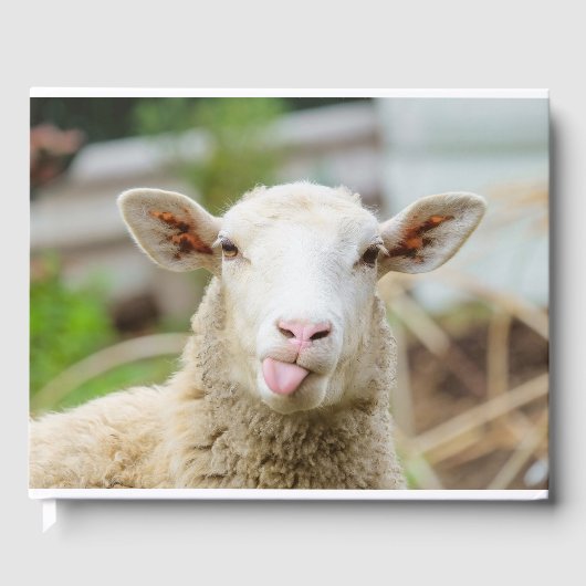 Schafzunge Gästebuch (Vorderseite)