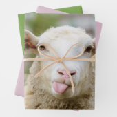 Schafzunge Geschenkpapier Set (Beispiel)