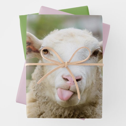 Schafzunge Geschenkpapier Set (Beispiel)