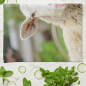 Schafzunge Geschirrtuch (Gefaltet)