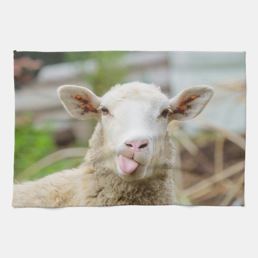 Schafzunge Geschirrtuch (Horizontal)