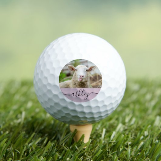 Schafzunge Golfball (Insitu T-Shirt)