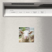 Schafzunge Magnet (In Situ (Geschirrspüler))