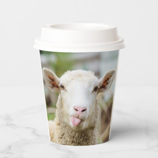 Schafzunge Pappbecher (Rückseite)