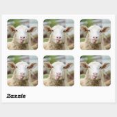 Schafzunge Quadratischer Aufkleber (Blatt)