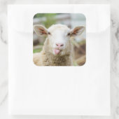 Schafzunge Quadratischer Aufkleber (Tasche)