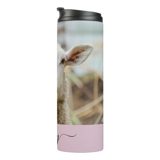 Schafzunge Thermosbecher (Nach rechts gedreht)