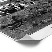 Schakkleton in antarktischem Gramophon mit Pinguin Poster (Ecke)