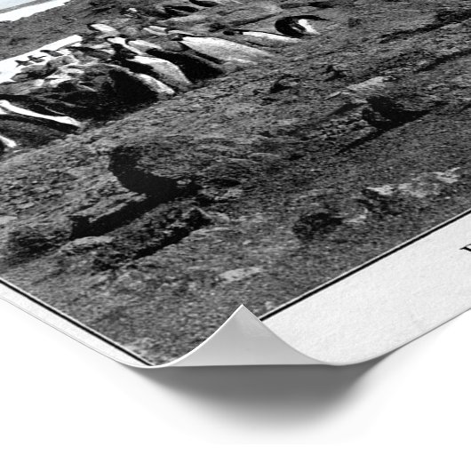 Schakkleton in antarktischem Gramophon mit Pinguin Poster (Ecke)