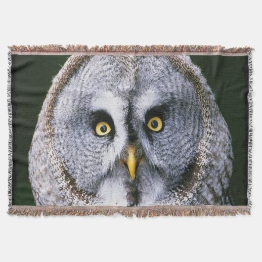 Schale 2 decke (Vorderseite)