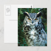 Schale (2) postkarte (Vorne/Hinten)
