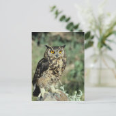 Schale (9) postkarte (Stehend Vorderseite)