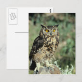 Schale (9) postkarte (Vorne/Hinten)