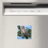 Schale auf Draht Magnet (In Situ (Geschirrspüler))