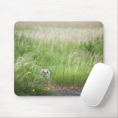 Schale im Gras Mousepad (Mit Mouse)