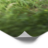 Schale im Gras Poster (Ecke)
