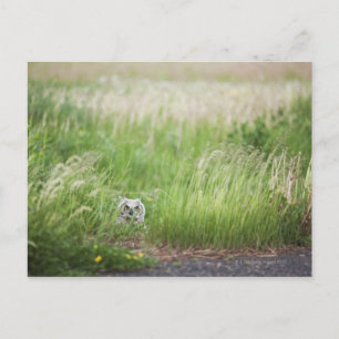 Schale im Gras Postkarte