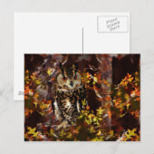 Schale im Herbst Postkarte (Vorne/Hinten)