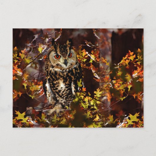 Schale im Herbst Postkarte (Vorderseite)