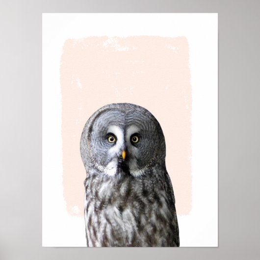 Schale Kinderzimmer-Wand-Kunst Tierportrait Poster (Vorne)