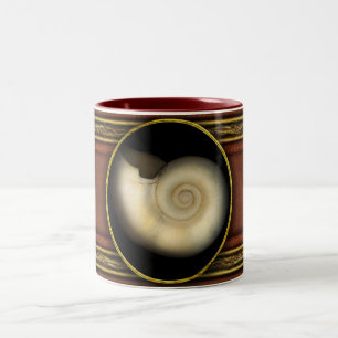 Schale - Konchologie - Nautilus Zweifarbige Tasse