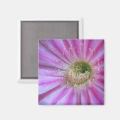 Schale Magnet (Vorderseite/Rückseite)