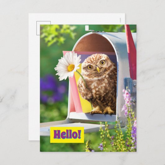 Schale mit Blume in Postfach Einladungspostkarte (Vorne/Hinten)