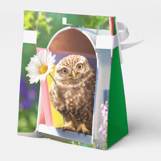 Schale mit Blume in Postfach Geschenkschachtel (Rückseite)