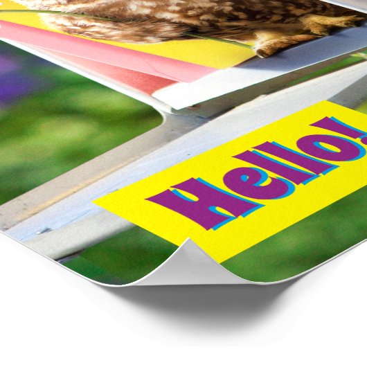 Schale mit Blume in Postfach Poster (Ecke)