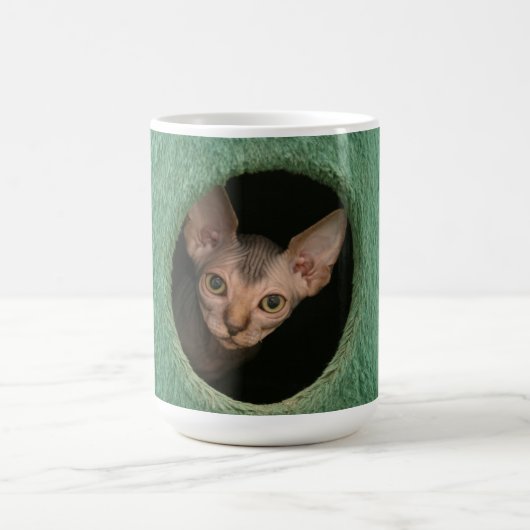 Schale mit einem niedlichen sphynx Kätzchen Kaffeetasse (Mittel)