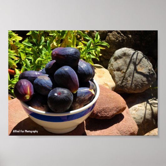 Schale mit Feigenfrüchten auf Stein Poster (Vorne)