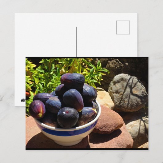 Schale mit Feigenfrüchten auf Stein Postkarte (Vorne/Hinten)