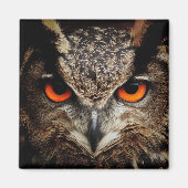 Schale mit Orangenfarbe Magnet (Vorne)