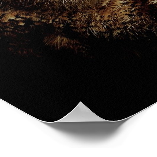 Schale mit Orangenfarbe Poster (Ecke)