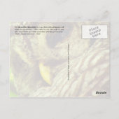 Schale Postkarte (Rückseite)