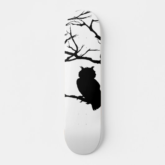 Schale/Skateboard Skateboard (Vorne)