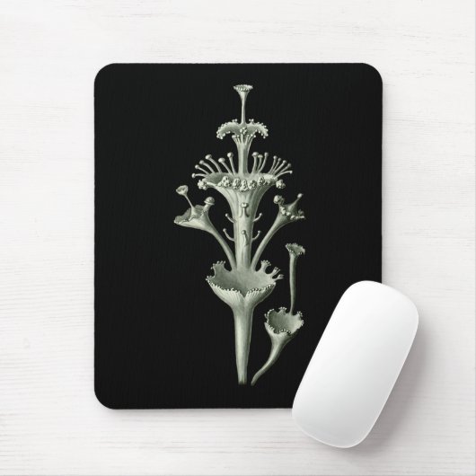 Schalen-Flechte Mousepad (Mit Mouse)