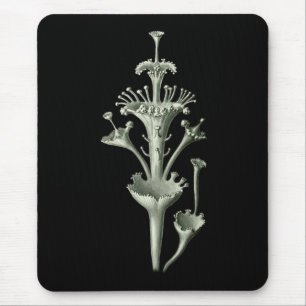 Schalen-Flechte Mousepad