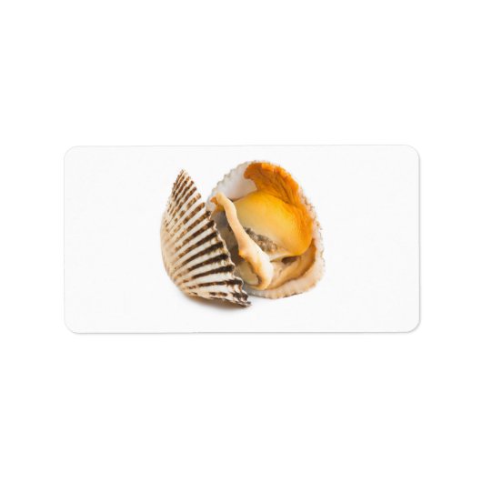 Schalentiere Adressaufkleber (Vorne)