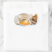Schalentiere Rechteckiger Aufkleber (Tasche)