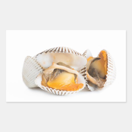 Schalentiere Rechteckiger Aufkleber (Vorderseite)
