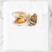 Schalentiere Rechteckiger Aufkleber (Tasche)