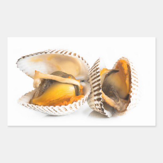 Schalentiere Rechteckiger Aufkleber (Vorderseite)